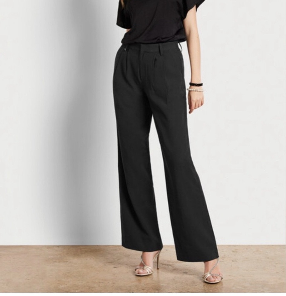 Sam Edelman Codie Pants Size 29 Black Nwt High Rise Wide Leg Pleated Trousers